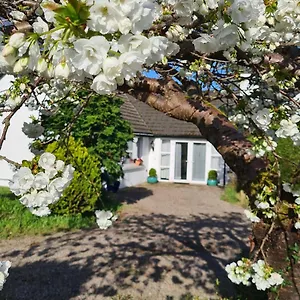 https://apt-nara-seaside-retreat.belfasthotelsireland.com